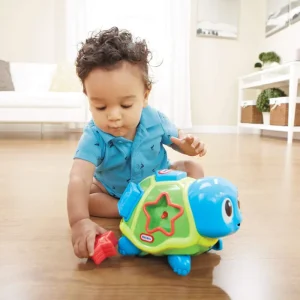 Alternative view of Crawl 'n Pop! Turtle